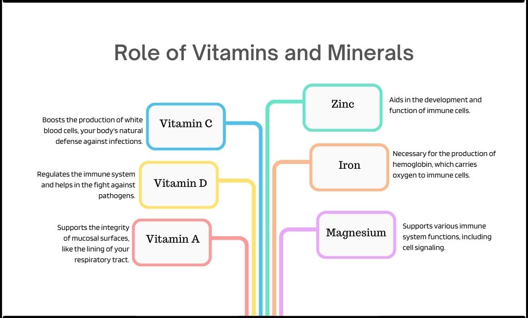 Role of Vitamin and Mineral
